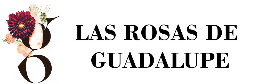 Las Rosas de Guadalupe